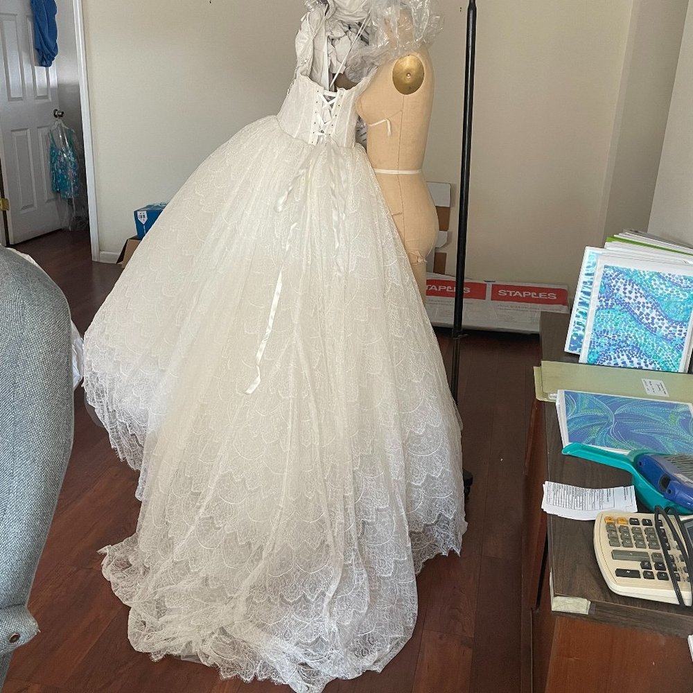 Pnina Tornai Wedding Gown - Picture 8 of 16
